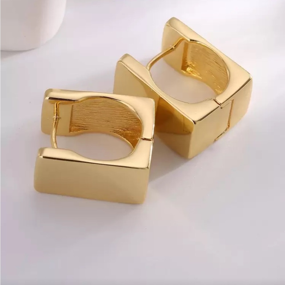 Elegant Gold Hoop Earrings